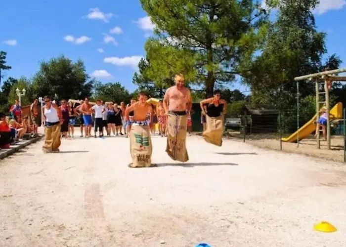 Camping Mobil-home 32m² Pour 8 Pers, Terrasse, Saint-sornin - Api-1-52-399 Saint-Sornin (Charente-Maritime)